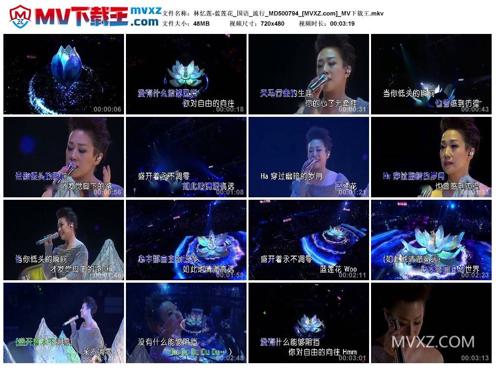 林忆莲-蓝莲花_国语_流行_MD500794